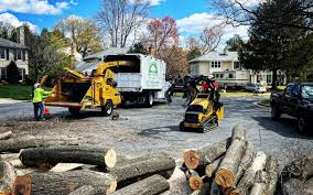 Best Pest Control for Lawns  in Gila Bend, AZ
